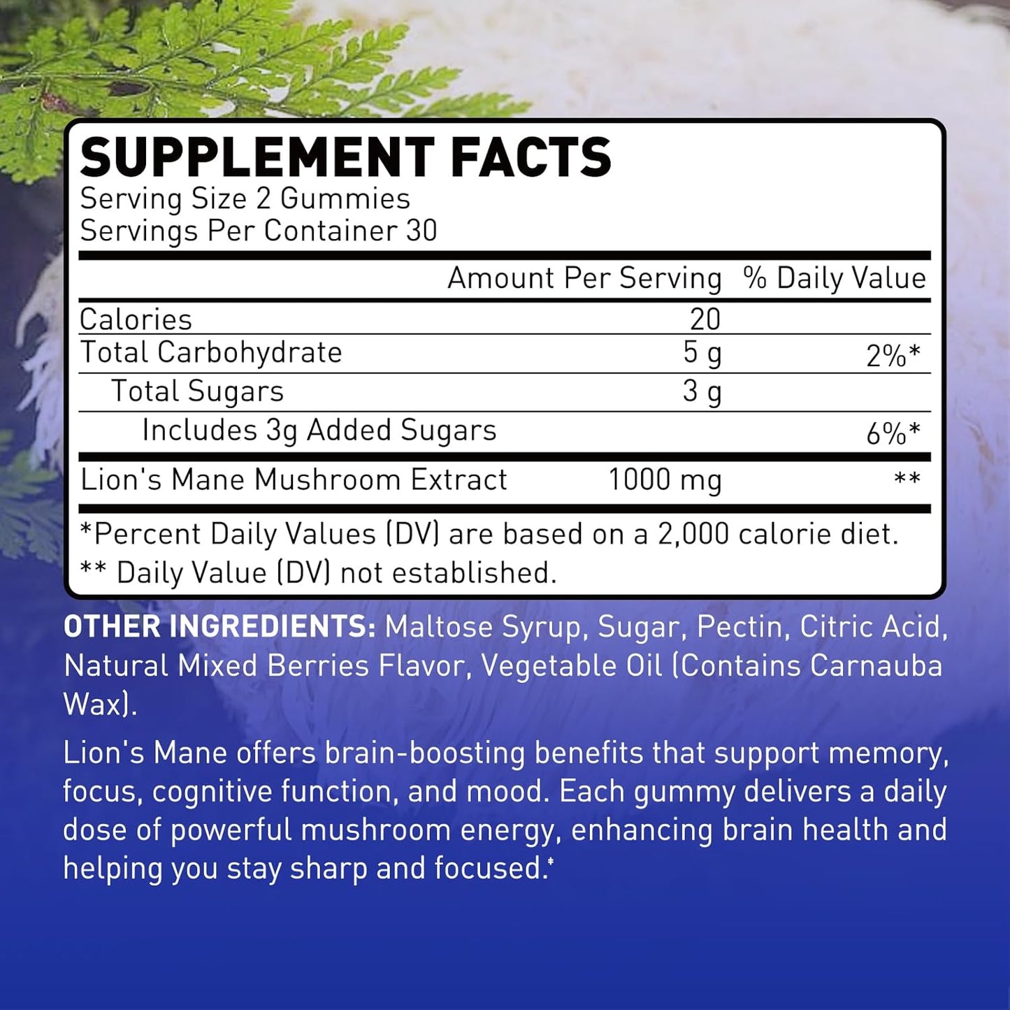 Focus & Cognitive Support Gummies - 1000mg Lion's Mane Mushroom, Vegetarian, Gluten-Free, Mixed Berry Flavor - 60 Count
