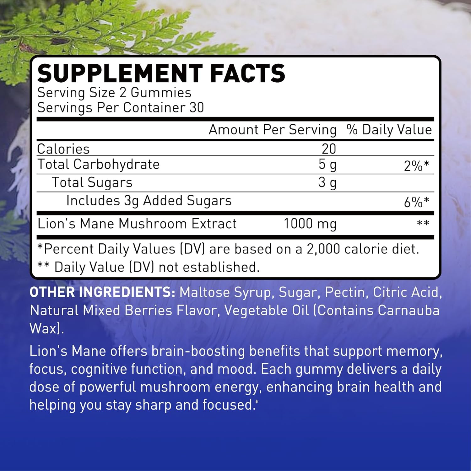 Focus & Cognitive Support Gummies - 1000mg Lion's Mane Mushroom, Vegetarian, Gluten-Free, Mixed Berry Flavor - 60 Count
