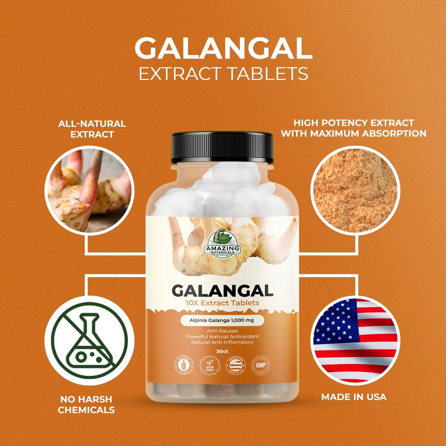 Galangal 10X Extract Tablets 1,000mg - Pure Herbal Supplement for General Wellness - Vegan & Non-GMO - 30 Tablets
