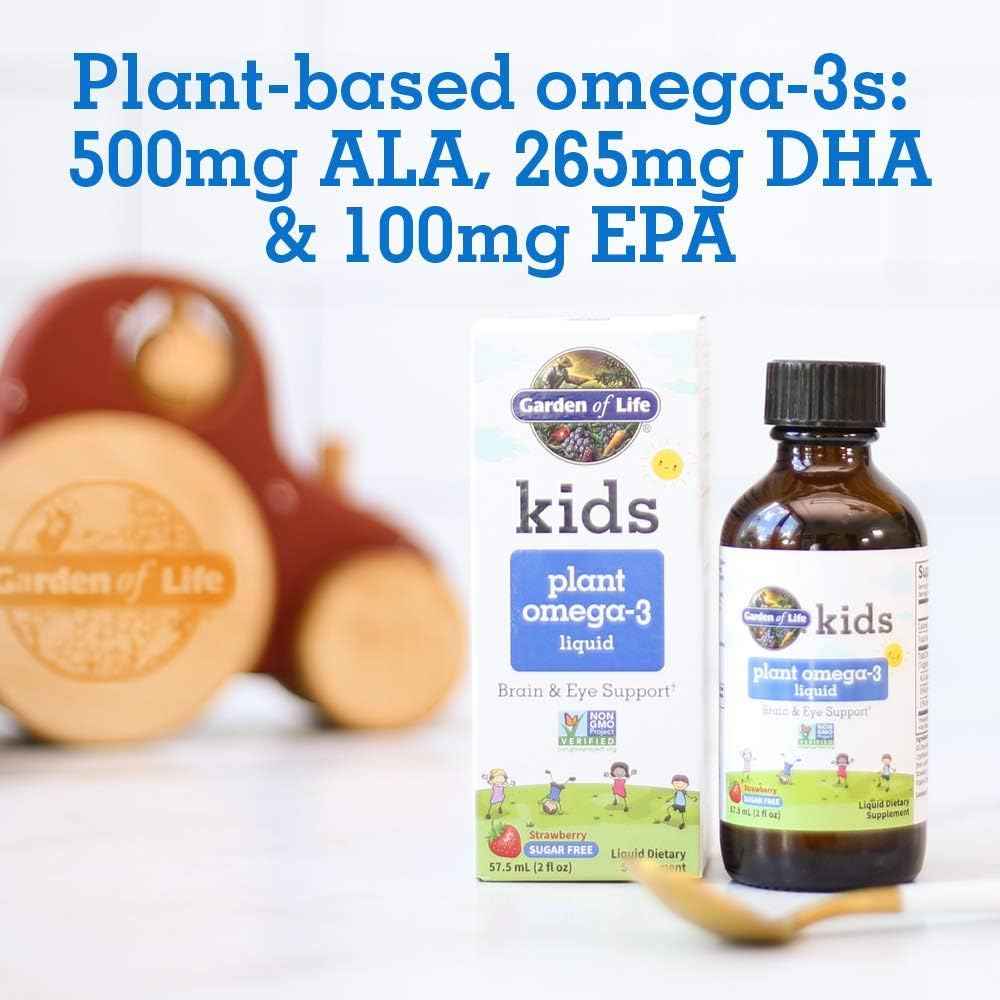 Garden of Life Plant Omega-3 Ala, Dha & Epa Supplement for Children -Liquid, Strawberry - Vegan Brain & Eye Support for Kids, Sugar Free & Non-GMO - 2 Fl Oz