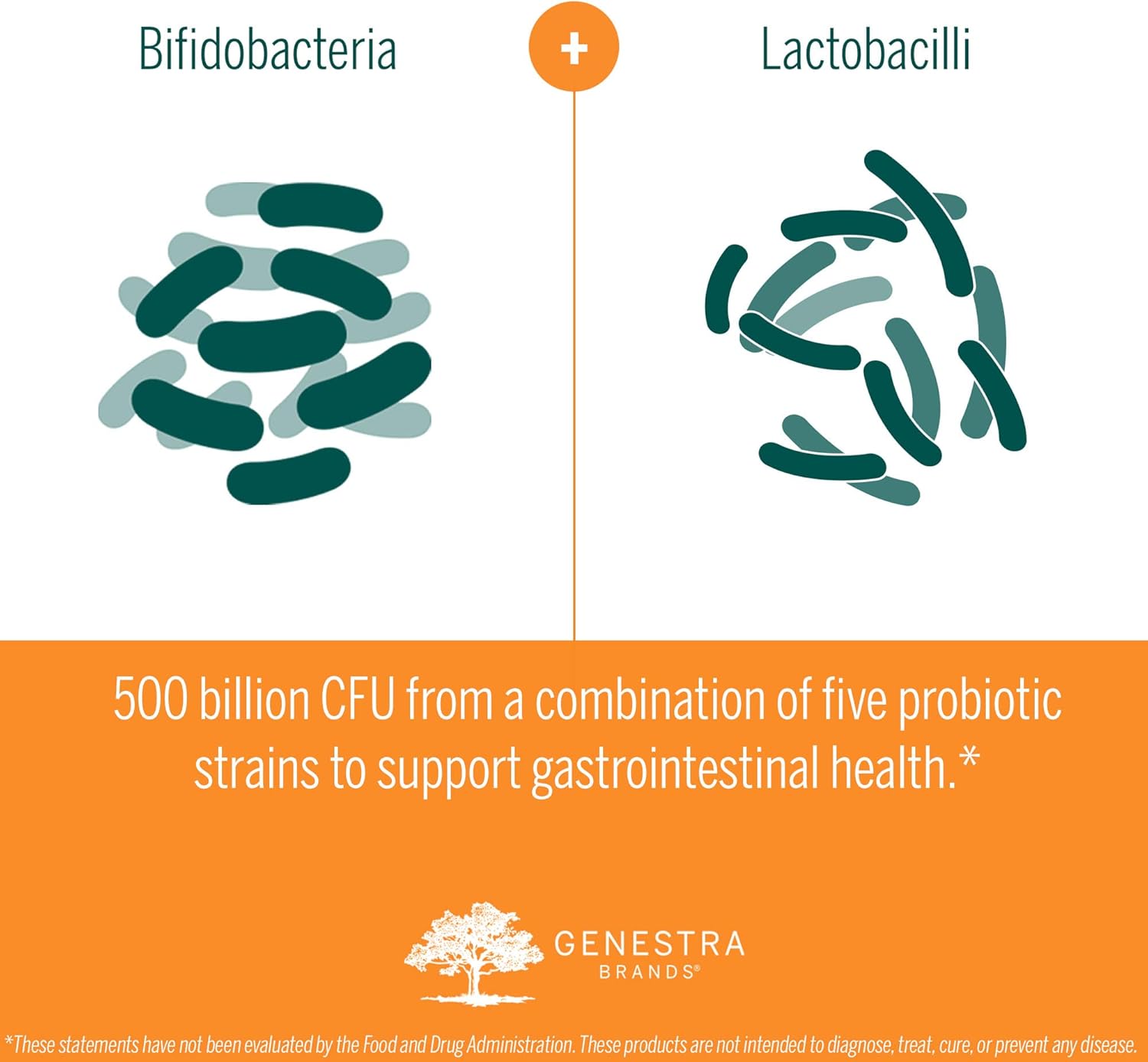 Genestra Brands HMF Intensive 500 Probiotic Supplement - 30 Sachets for Gastrointestinal Health