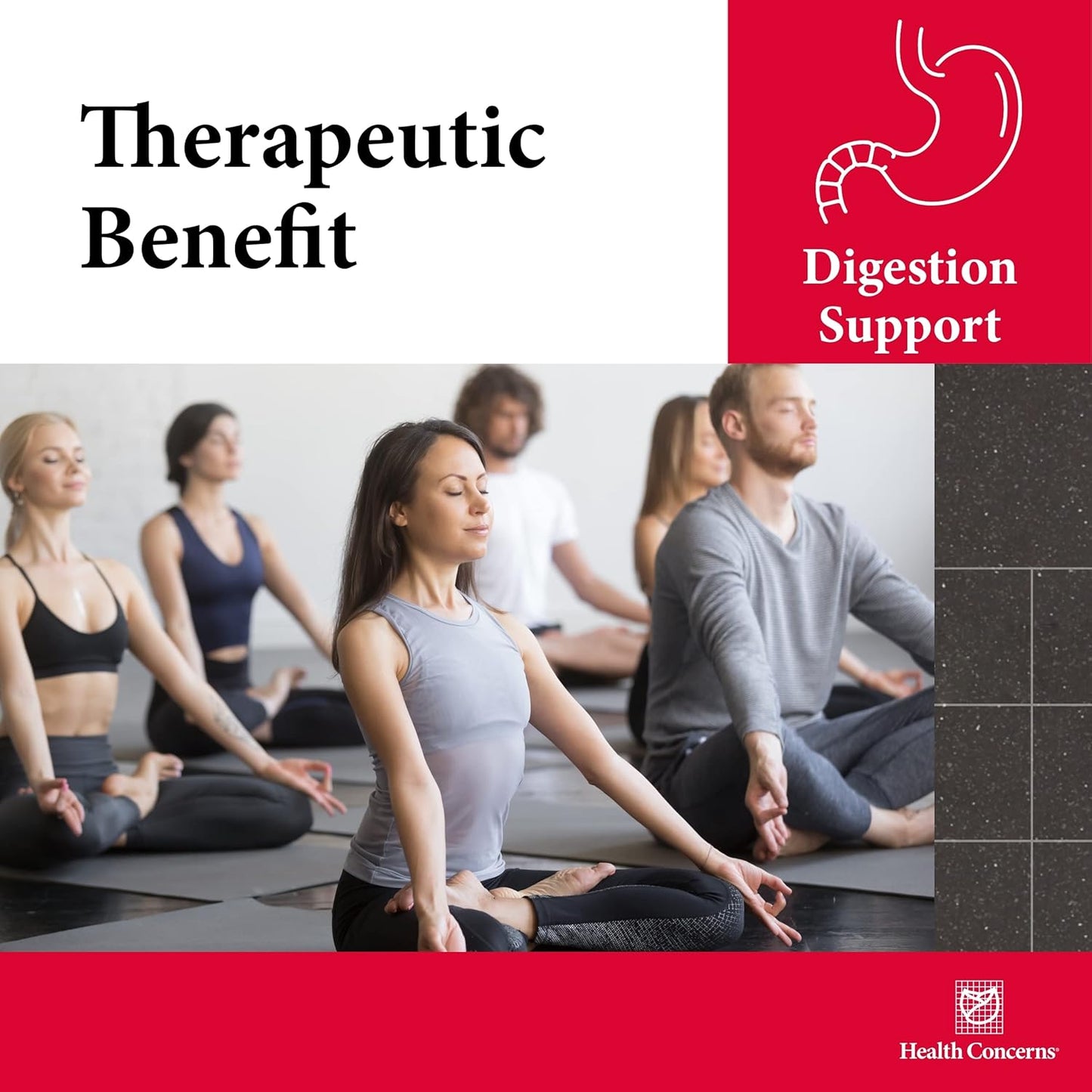 Ginger & Licorice Root Digestion Support Supplement - 90 Capsules by Health Concerns Six Gentlemen