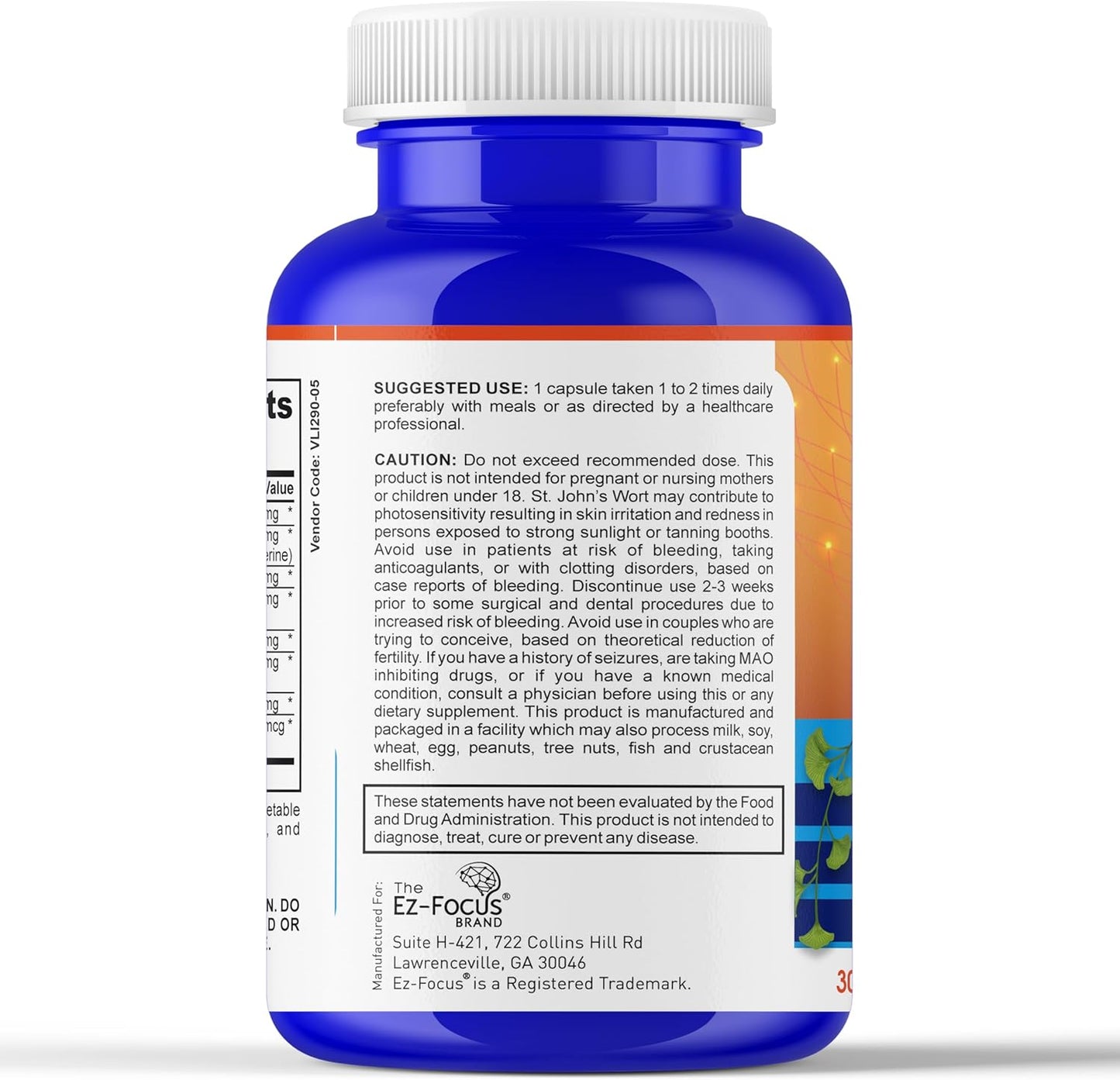 Ginkgo Biloba Memory and Focus Supplements - Nootropic for Brain Health and Alertness - 60 Capsules