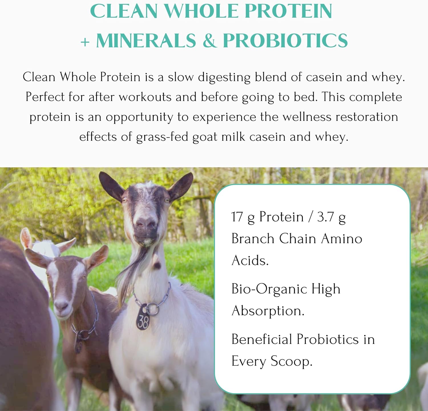 Grass-Fed Goat Milk Protein Powder with Minerals, Probiotics, and 17g Protein per Serving - 14.1 oz