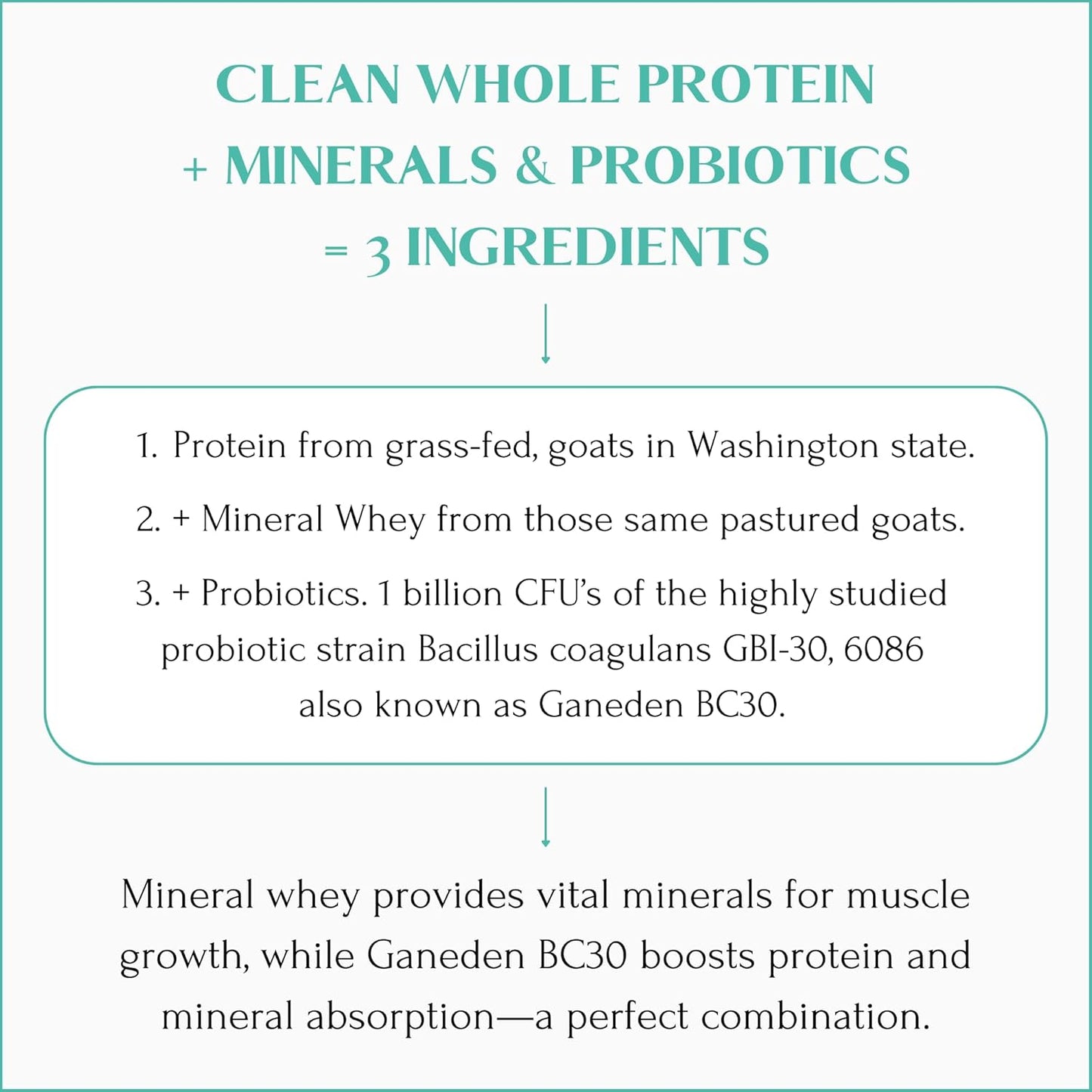 Grass-Fed Goat Milk Protein Powder with Minerals, Probiotics, and 17g Protein per Serving - 14.1 oz