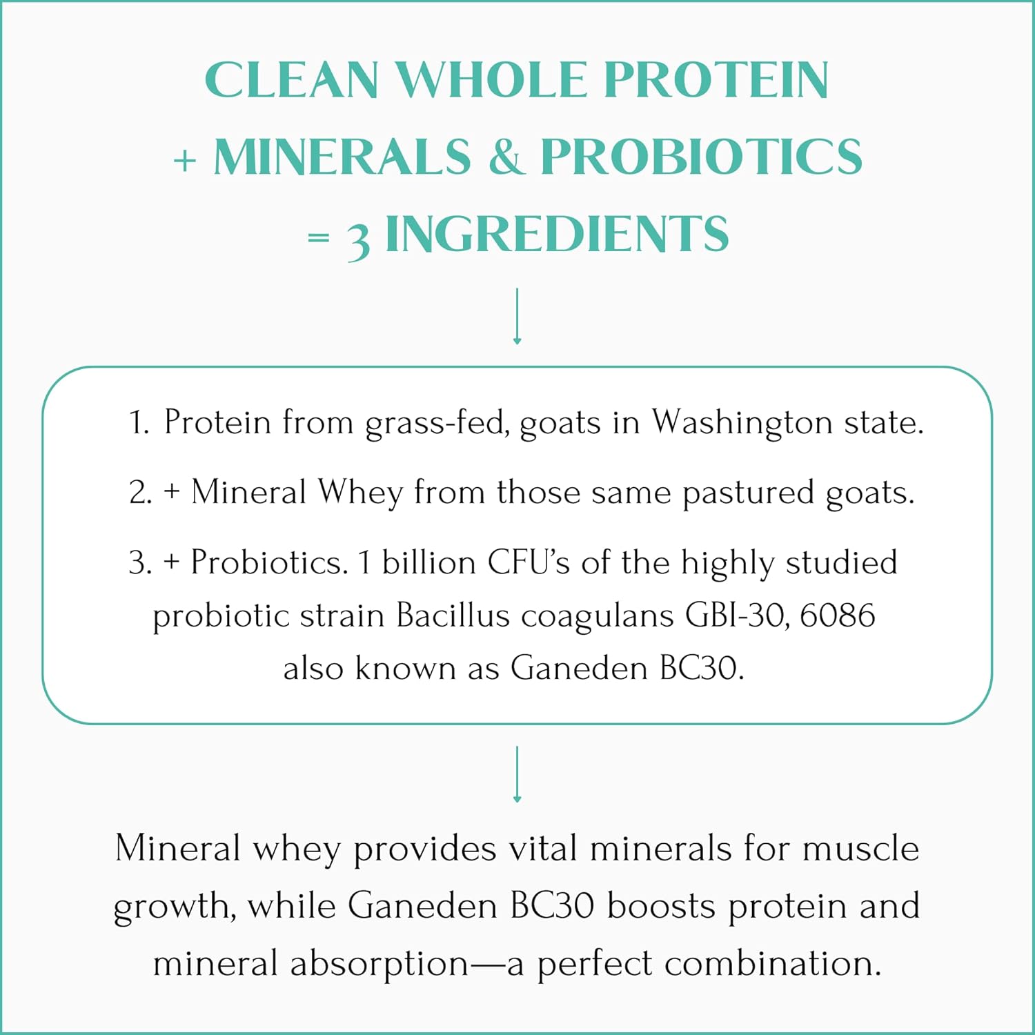 Grass-Fed Goat Milk Protein Powder with Minerals, Probiotics, and 17g Protein per Serving - 14.1 oz