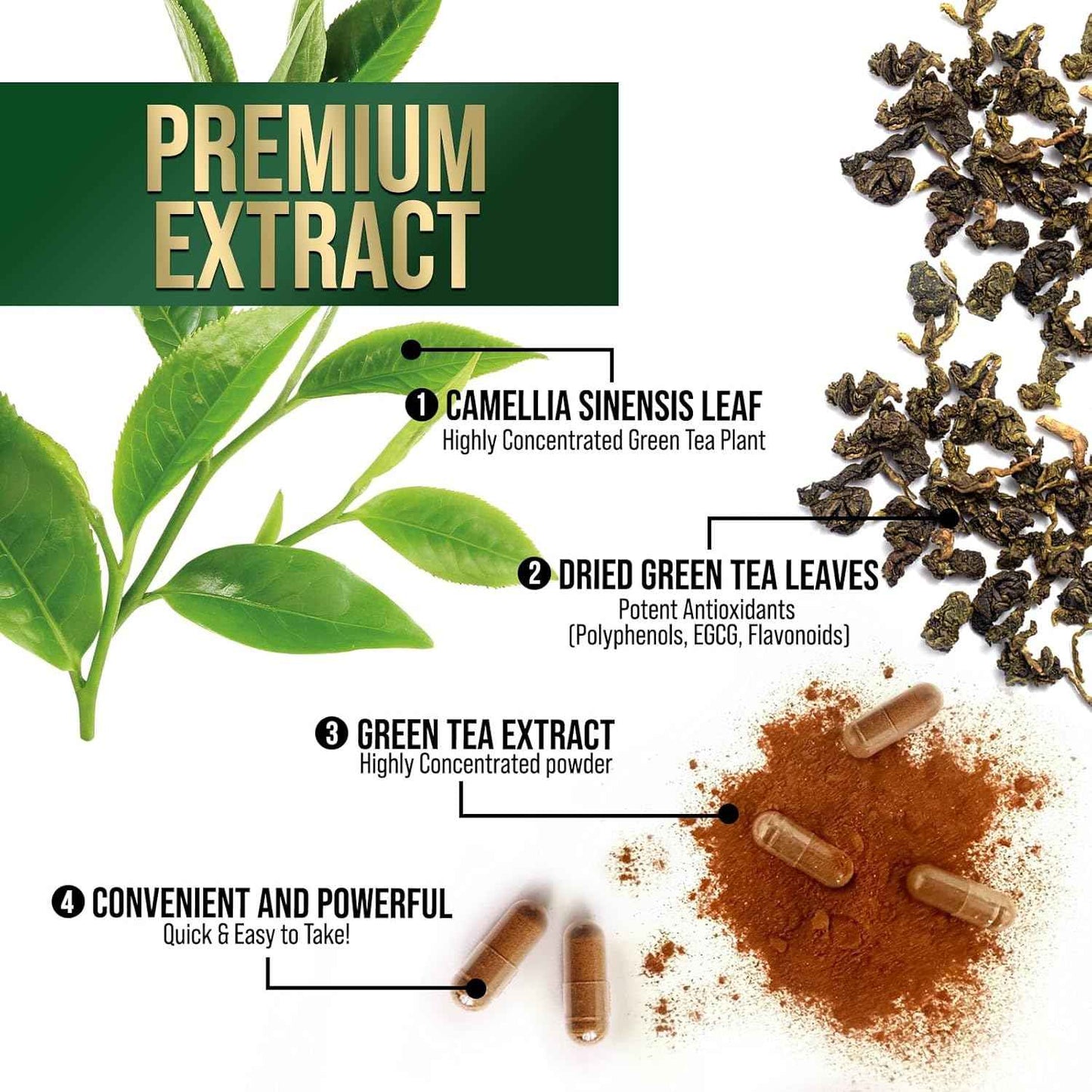 Green Tea Extract Capsules 1000mg 98% Standardized EGCG - 3X Strength for Natural Energy - Heart Support with Polyphenols - Gentle Caffeine - 240 Capsules