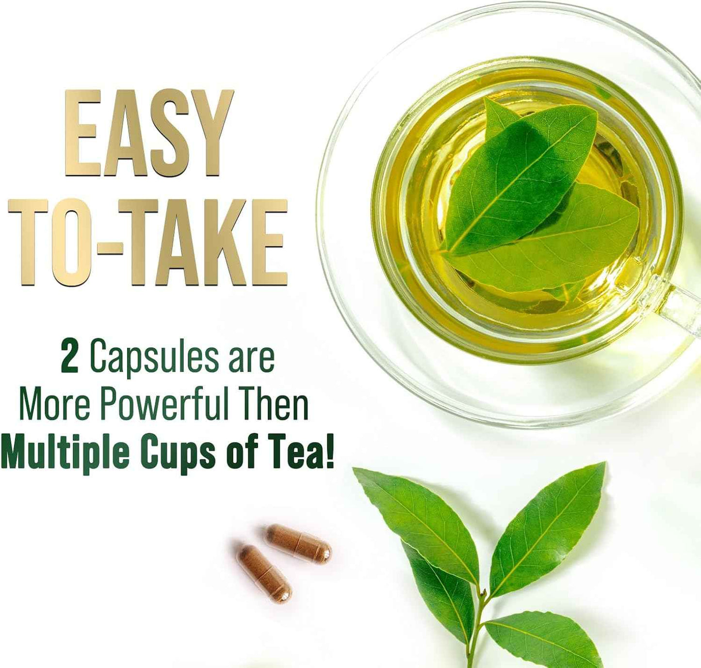 Green Tea Extract Capsules 1000mg 98% Standardized EGCG - 3X Strength for Natural Energy - Heart Support with Polyphenols - Gentle Caffeine - 240 Capsules