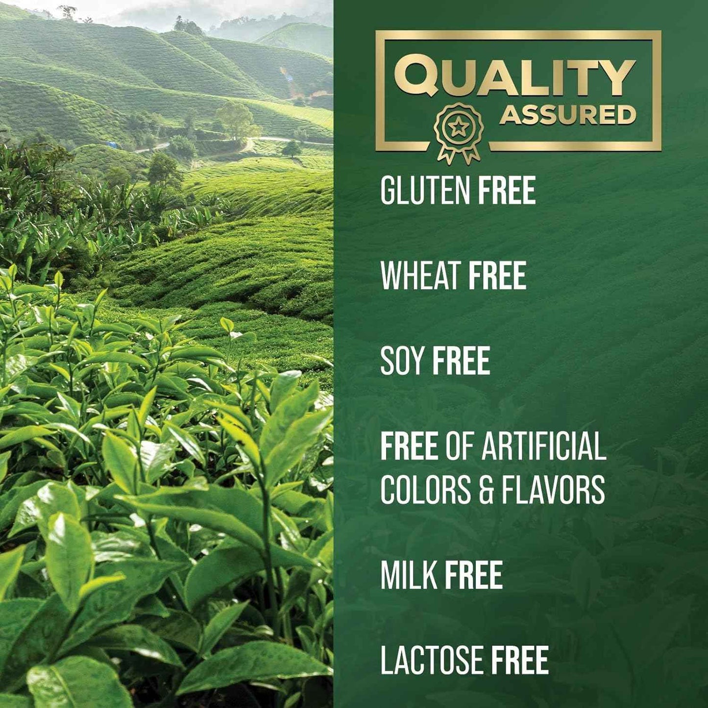 Green Tea Extract Capsules 1000mg 98% Standardized EGCG - 3X Strength for Natural Energy - Heart Support with Polyphenols - Gentle Caffeine - 240 Capsules