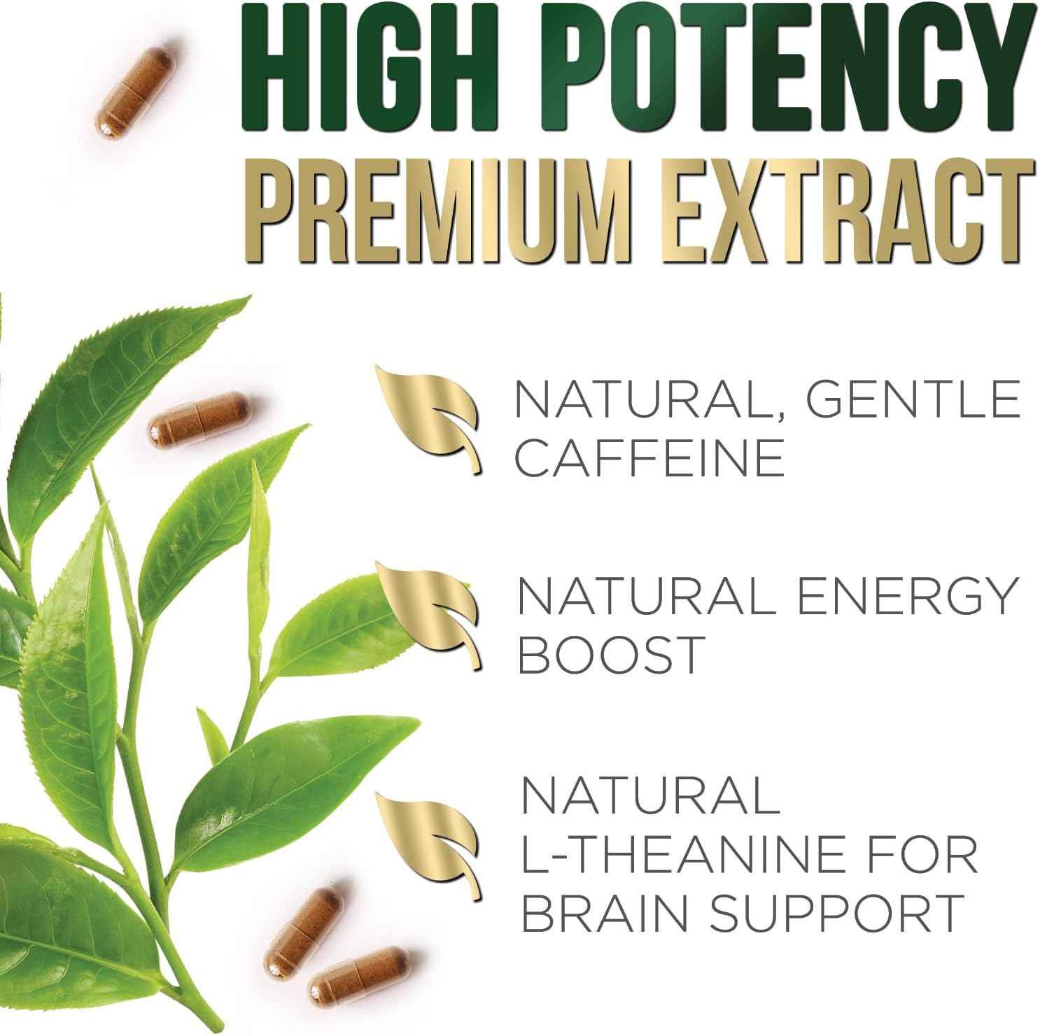 Green Tea Extract Capsules 1000mg 98% Standardized EGCG - 3X Strength for Natural Energy - Heart Support with Polyphenols - Gentle Caffeine - 240 Capsules