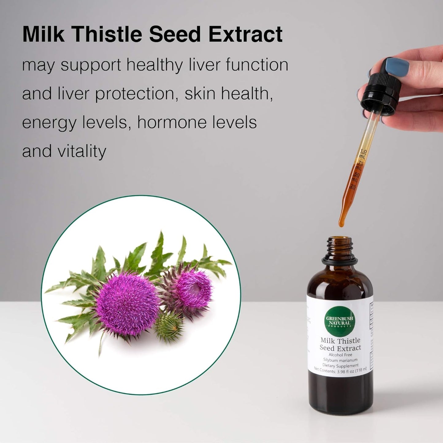 Greenbush Milk Thistle Concentrate 4 oz Liquid Extract for Liver Health