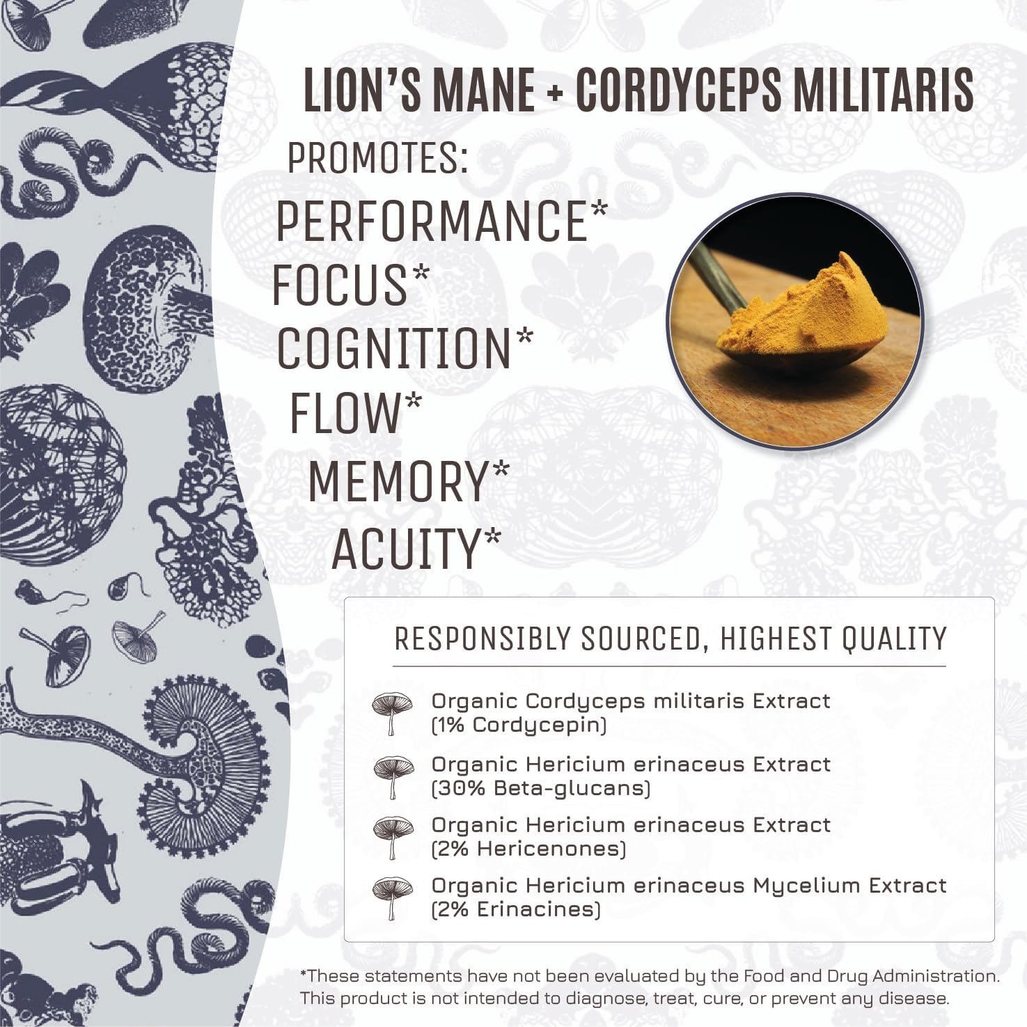 Hamilton's Mind Mix Organic Mushroom Extract Powder - Lion's Mane & Cordyceps Blend for Synaptic Growth, Endurance & Vitality - High Potency with 30% Beta Glucans - 100% GF, Non-GMO, Vegan - 200g