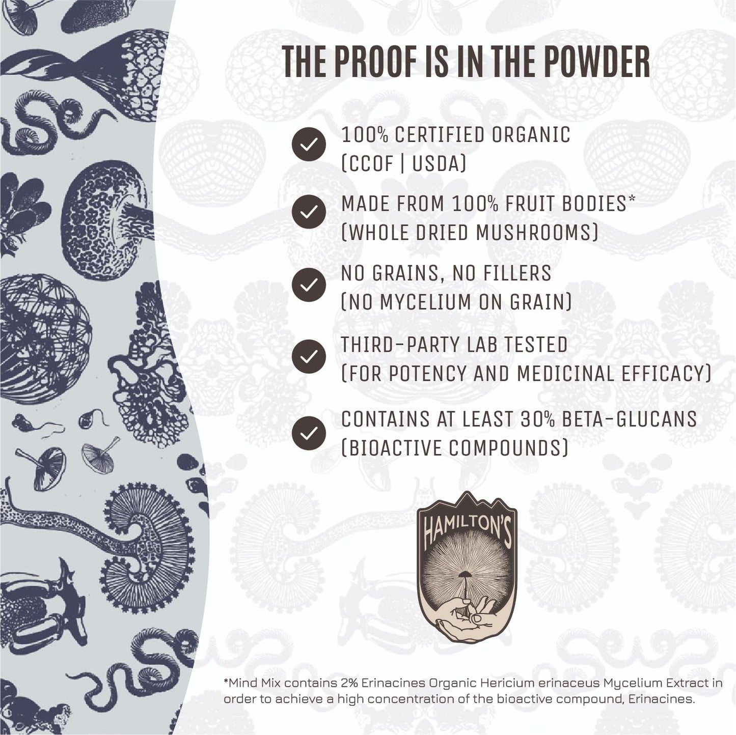 Hamilton's Mind Mix Organic Mushroom Extract Powder - Lion's Mane & Cordyceps Blend for Synaptic Growth, Endurance & Vitality - High Potency with 30% Beta Glucans - 100% GF, Non-GMO, Vegan - 200g