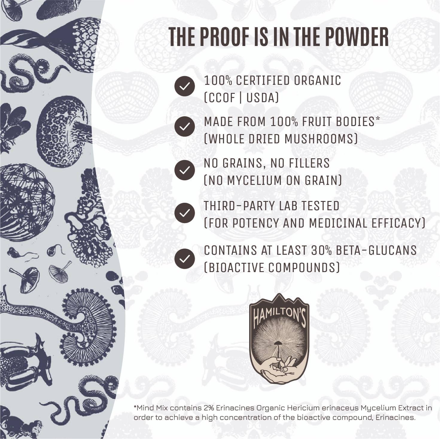 Hamilton's Mind Mix Organic Mushroom Extract Powder - Lion's Mane & Cordyceps Blend for Synaptic Growth, Endurance & Vitality - High Potency with 30% Beta Glucans - 100% GF, Non-GMO, Vegan - 200g