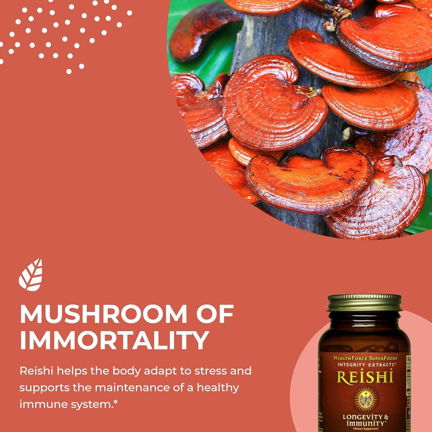 HealthForce SuperFoods Integrity Extracts Reishi – Capsules - 90 Vegan Capsules