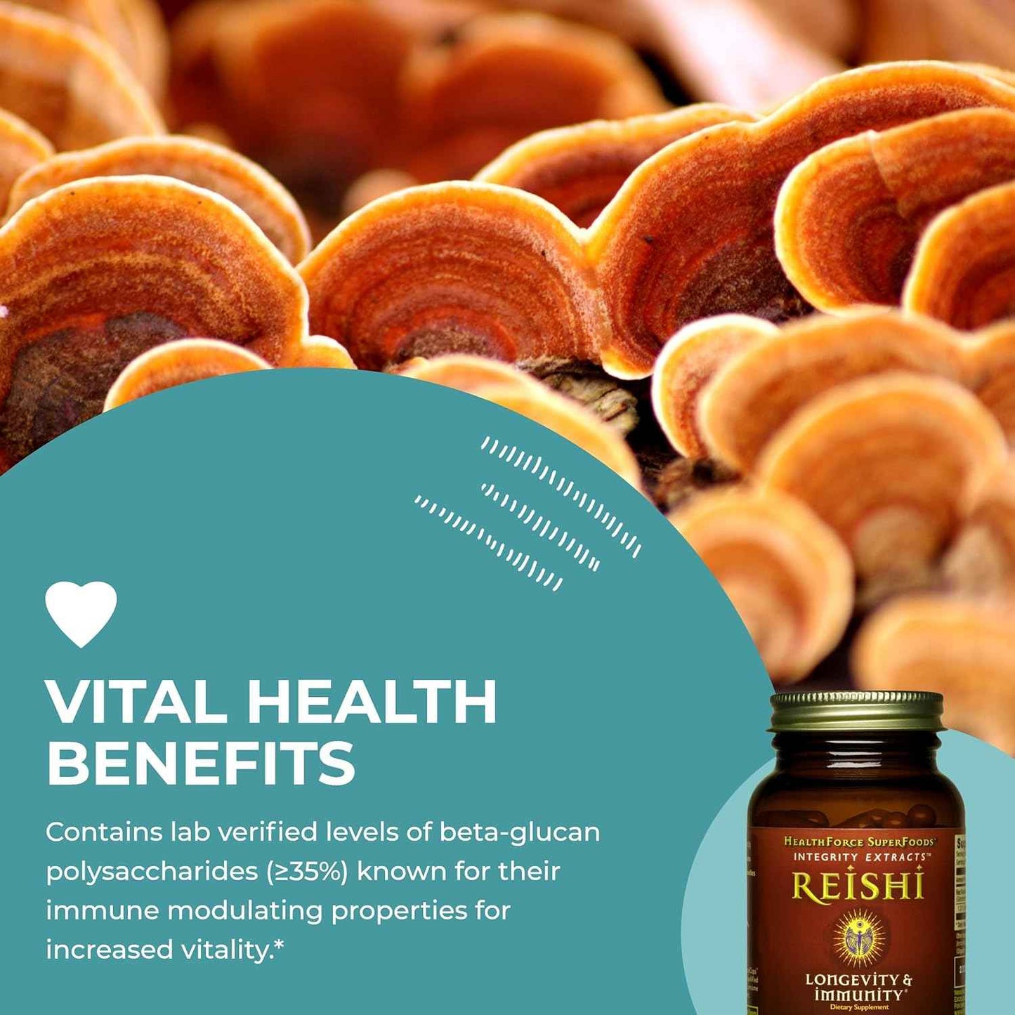 HealthForce SuperFoods Integrity Extracts Reishi – Capsules - 90 Vegan Capsules