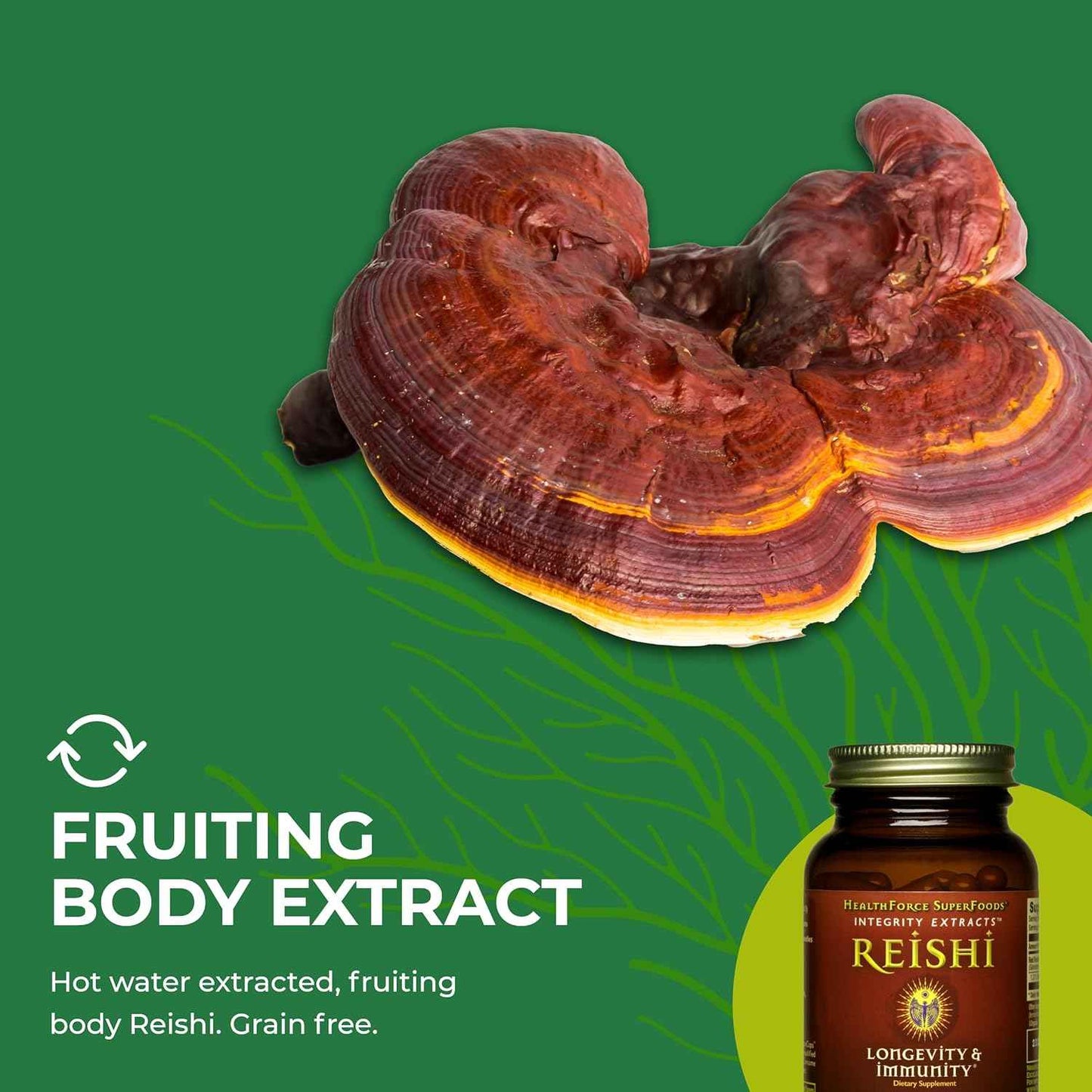 HealthForce SuperFoods Integrity Extracts Reishi – Capsules - 90 Vegan Capsules