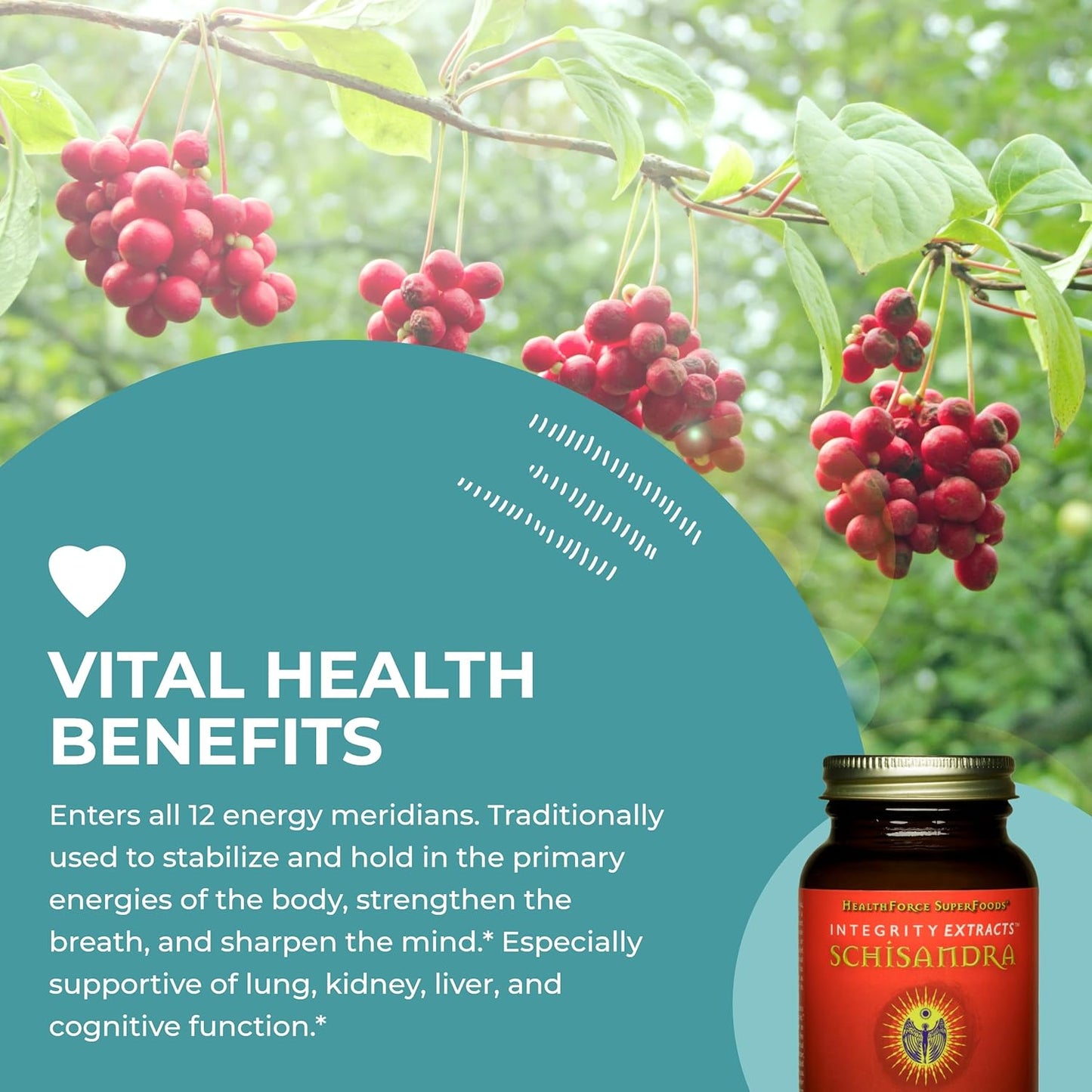 HealthForce SuperFoods Integrity Extracts Schisandra Powder - 50g - Organic Superfood Supplement