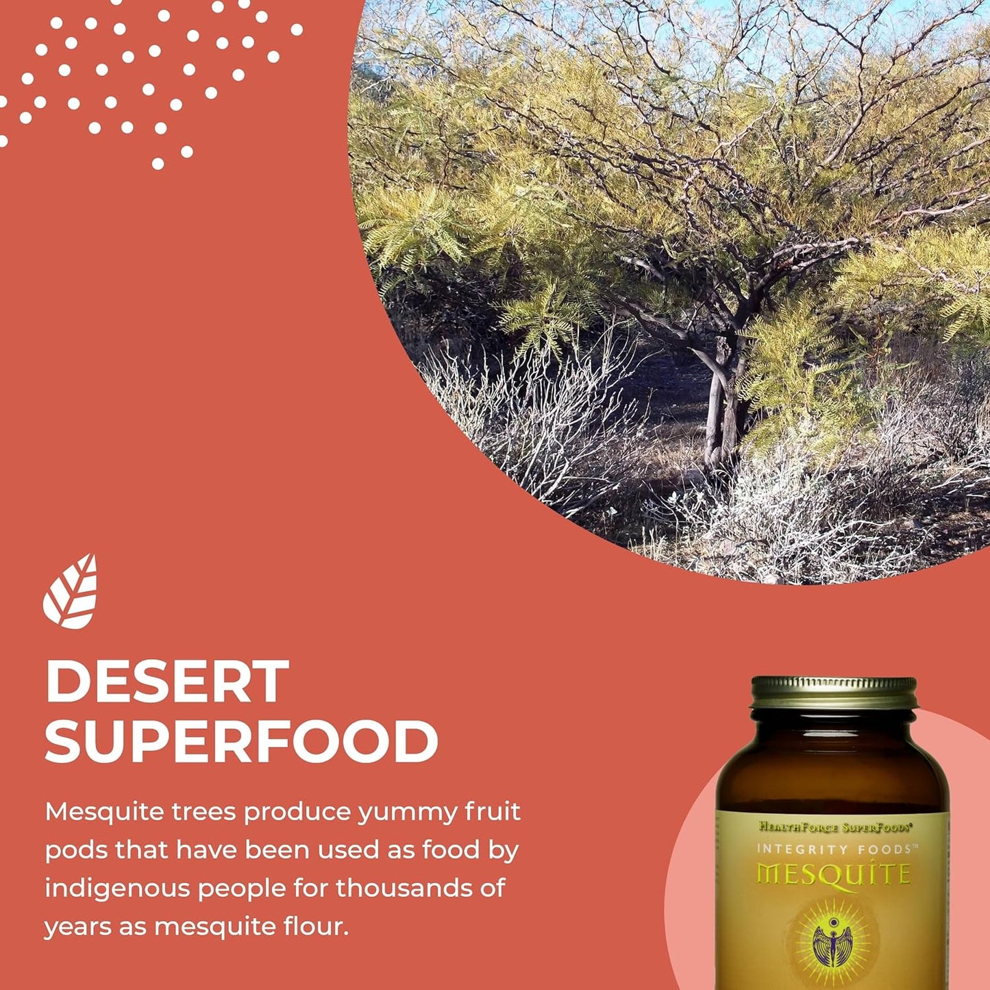 HealthForce SuperFoods Mesquite Powder - 180g Integrity Foods for Natural Health
