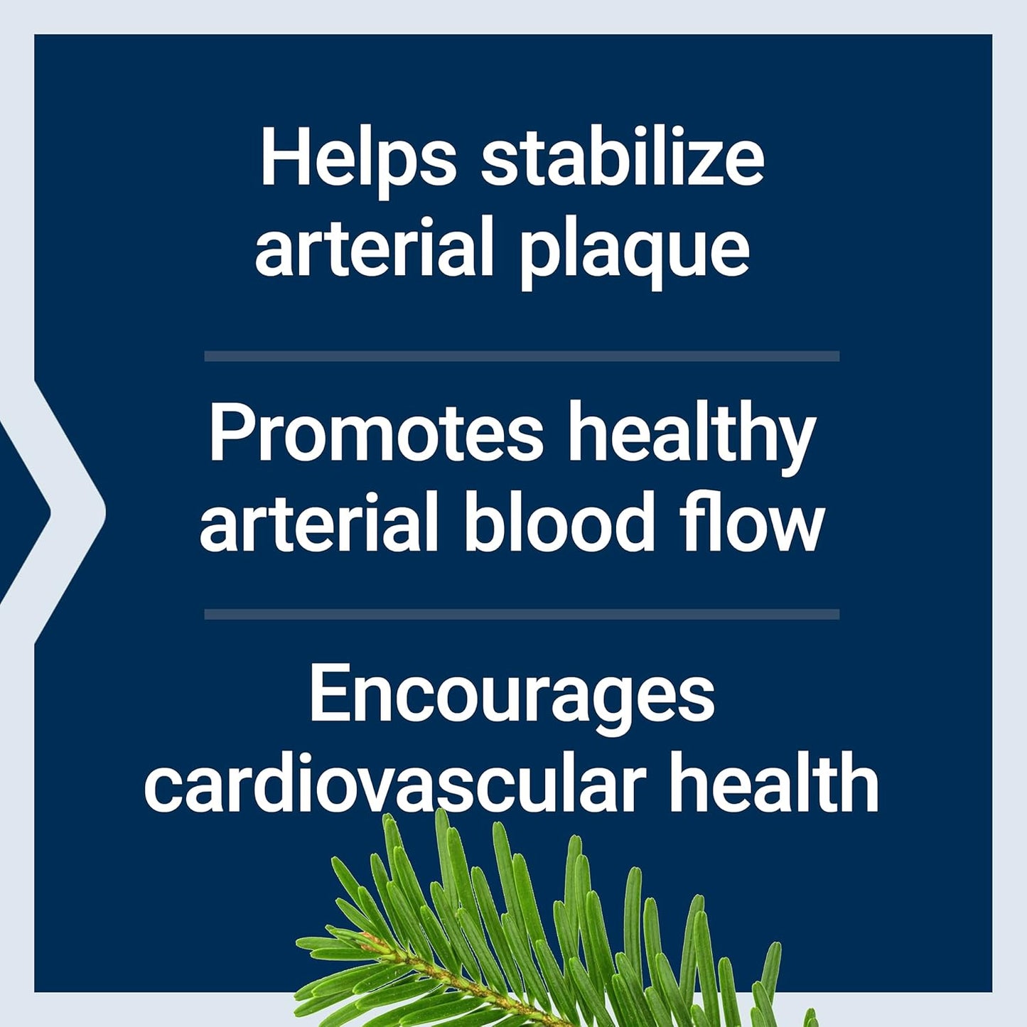 Heart Health & Blood Pressure Support Supplement with Saw Palmetto, Pygeum, Nettle Root & Lycopene - Arterial Protect & Ultra Prostate Formula for Men