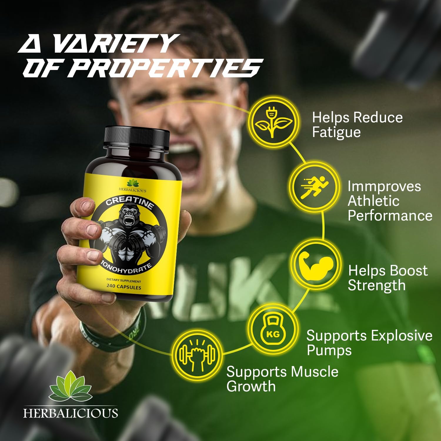 Herbalicious Creatine Monohydrate Pills for Muscle Size, Strength, and Power - Non-GMO Formula - 240 Capsules