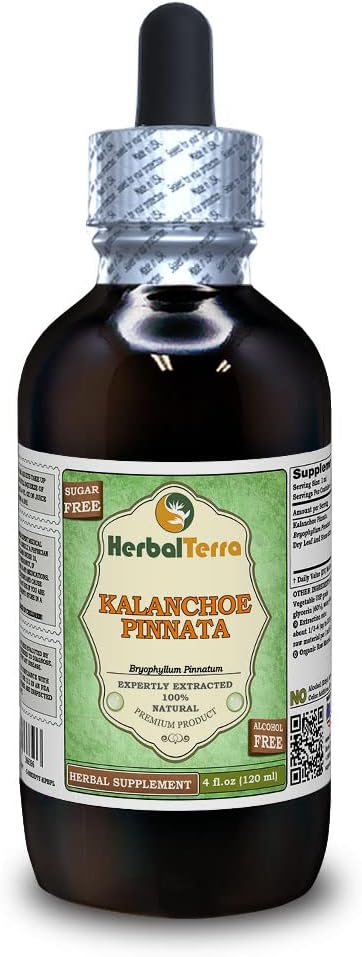 HerbalTerra USA-Made Alcohol-Free Kalanchoe Pinnata Glycerite Extract 4 fl.oz