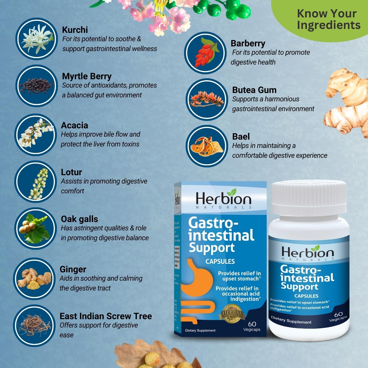 Herbion Naturals Gastrointestinal Support Herbal Blend for Upset Stomach Relief - 120 Vegicaps