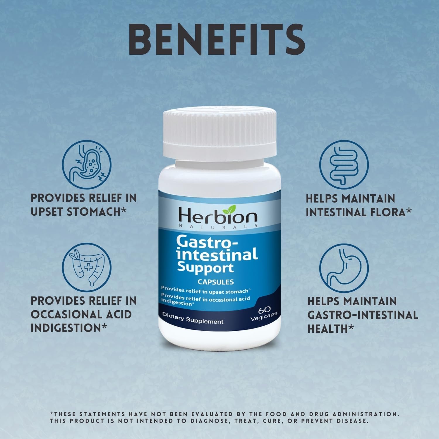 Herbion Naturals Gastrointestinal Support Herbal Blend for Upset Stomach Relief - 120 Vegicaps