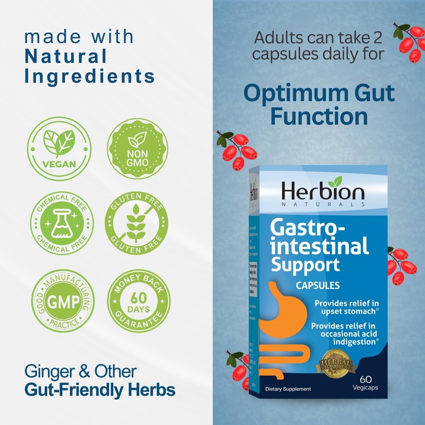 Herbion Naturals Gastrointestinal Support Herbal Blend for Upset Stomach Relief - 120 Vegicaps