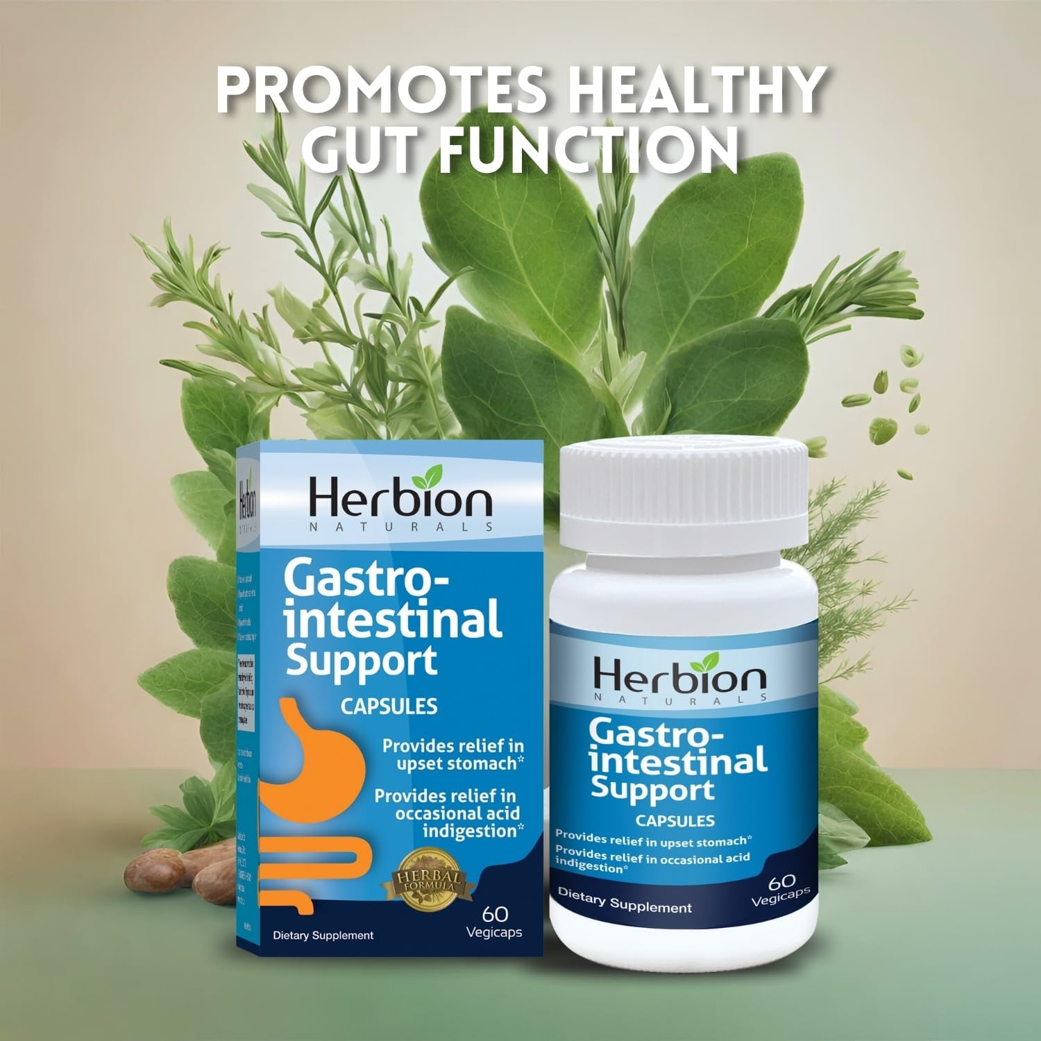 Herbion Naturals Gastrointestinal Support Herbal Blend for Upset Stomach Relief - 120 Vegicaps
