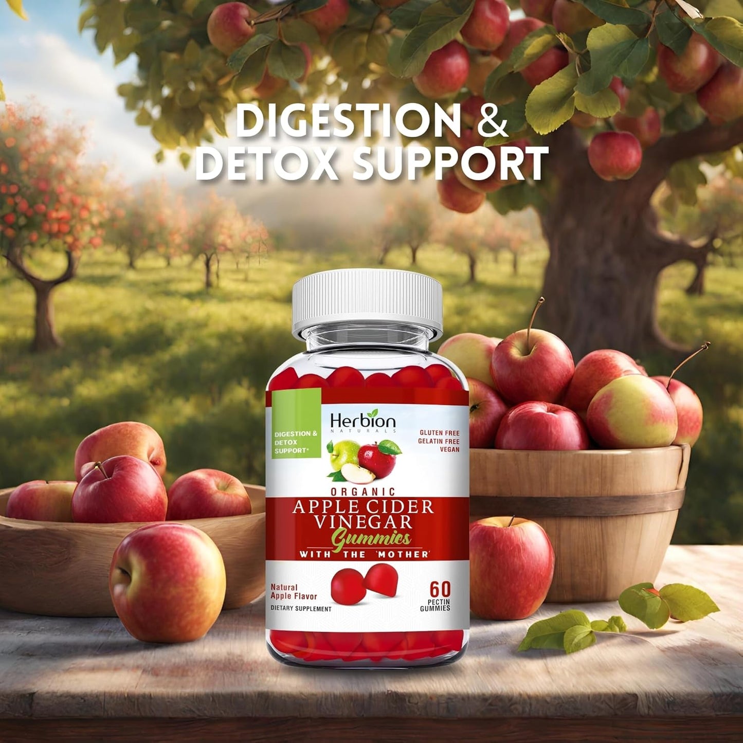 Herbion Naturals Organic Apple Cider Vinegar Gummies with "Mother" - Digestion & Detox Support - Vegan - USA Made - 3 Pack