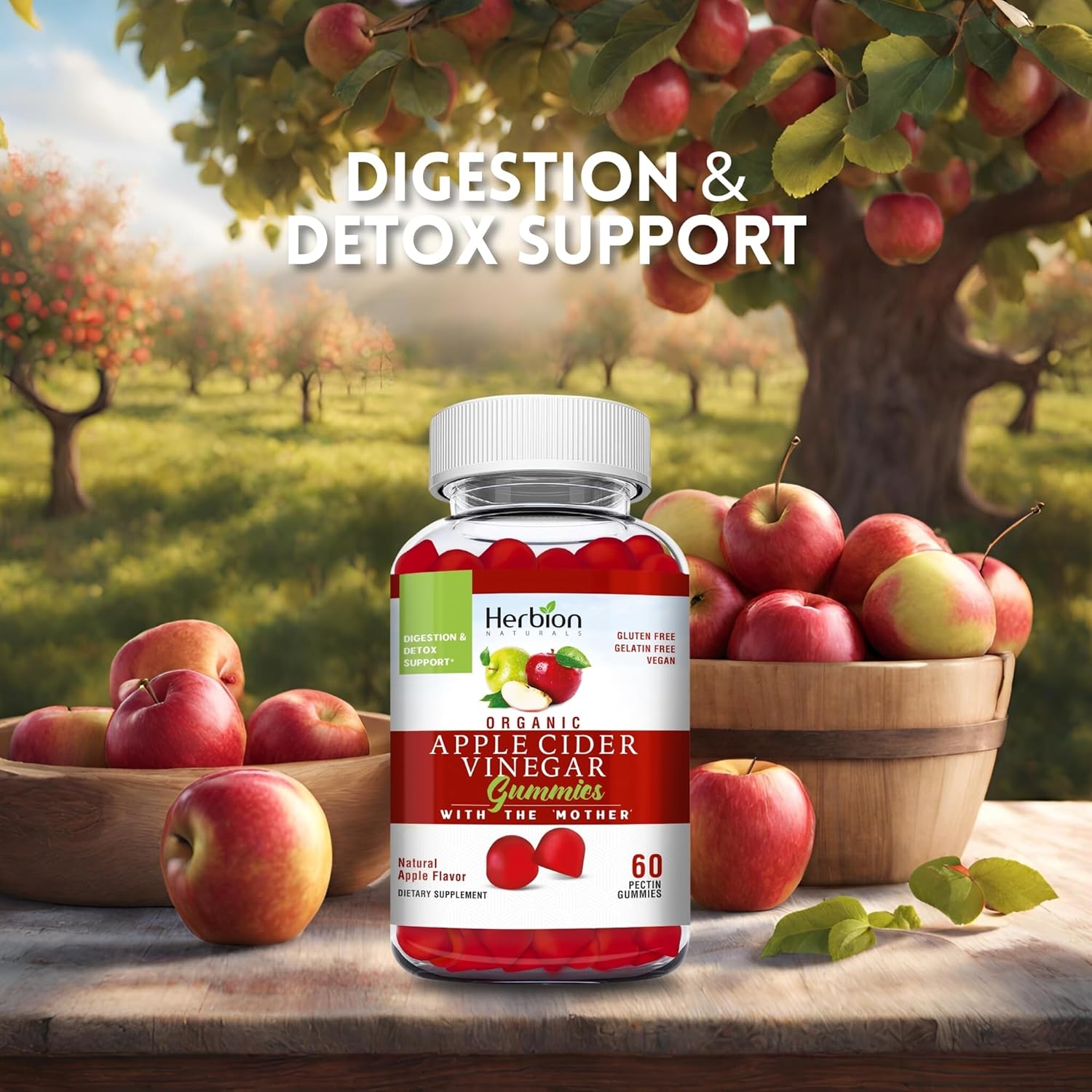 Herbion Naturals Organic Apple Cider Vinegar Gummies with "Mother" - Digestion & Detox Support - Vegan - USA Made - 3 Pack