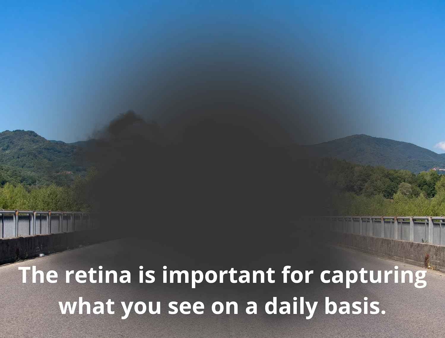 Heyedrate Ocular Health Formula - Complete Macula and Retina Support Areds 2 Formula Packed with Lutein, Zeaxanthin, and Astaxanthin (30 Day Supply)
