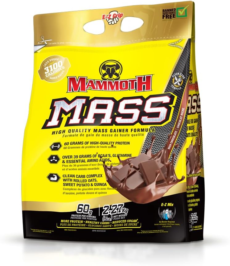 High Calorie Protein Powder Weight Gainer, Whey Isolate & Casein Blend for Workout Smoothies, Low Sugar, Chocolate Flavor - 5lb