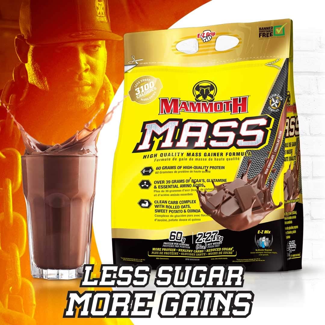 High Calorie Protein Powder Weight Gainer, Whey Isolate & Casein Blend for Workout Smoothies, Low Sugar, Chocolate Flavor - 5lb