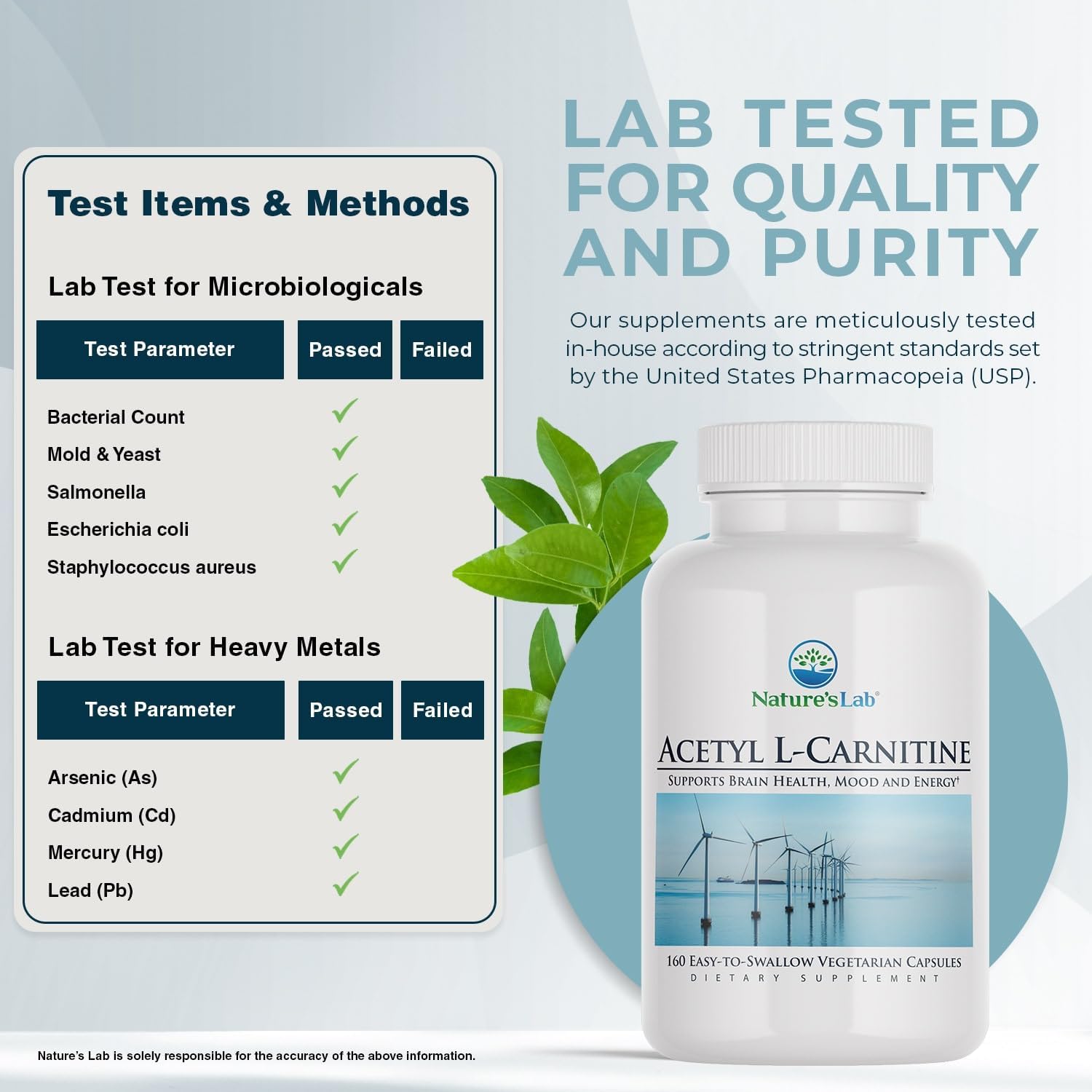 High-Potency Acetyl L-Carnitine Supplement - 2,000mg, 160 Capsules by Nature's Lab