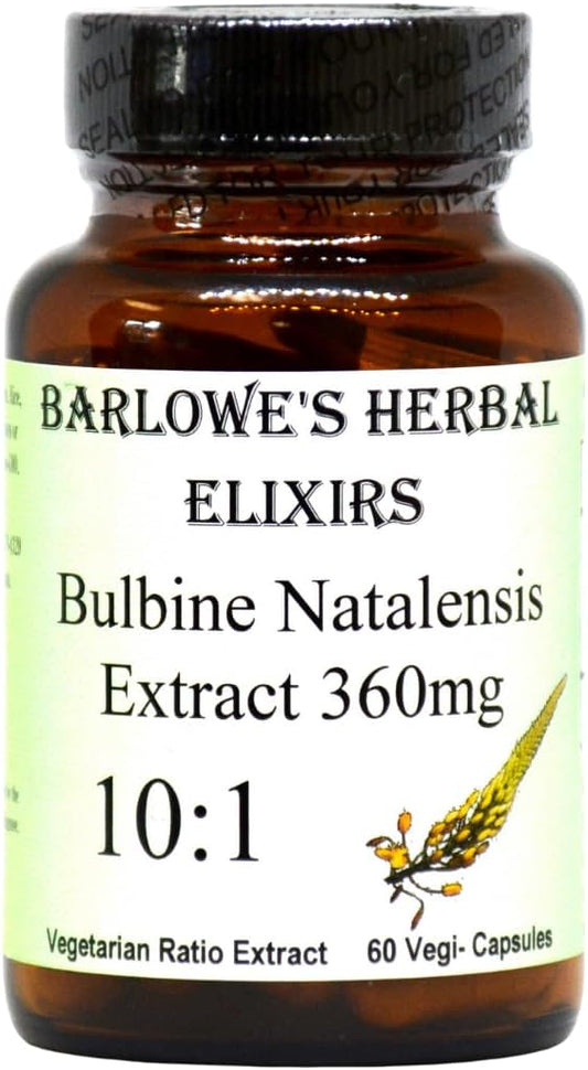 High Potency Bulbine Natalensis Extract Capsules | 10:1 Concentration | 360mg | 60 Veg Caps | Glass Bottle | No Stearates