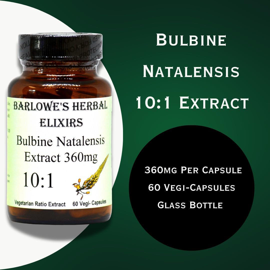 High Potency Bulbine Natalensis Extract Capsules | 10:1 Concentration | 360mg | 60 Veg Caps | Glass Bottle | No Stearates