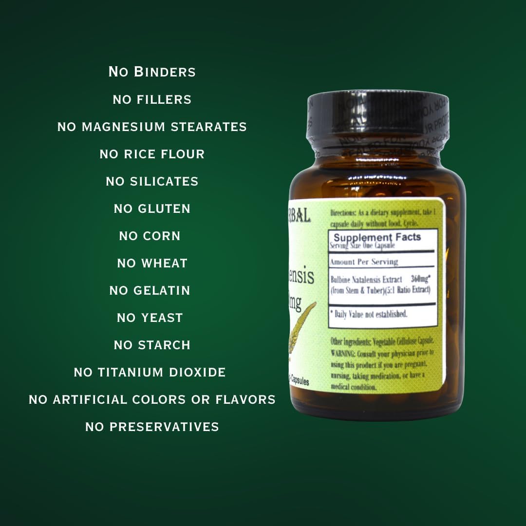 High Potency Bulbine Natalensis Extract Capsules | 10:1 Concentration | 360mg | 60 Veg Caps | Glass Bottle | No Stearates