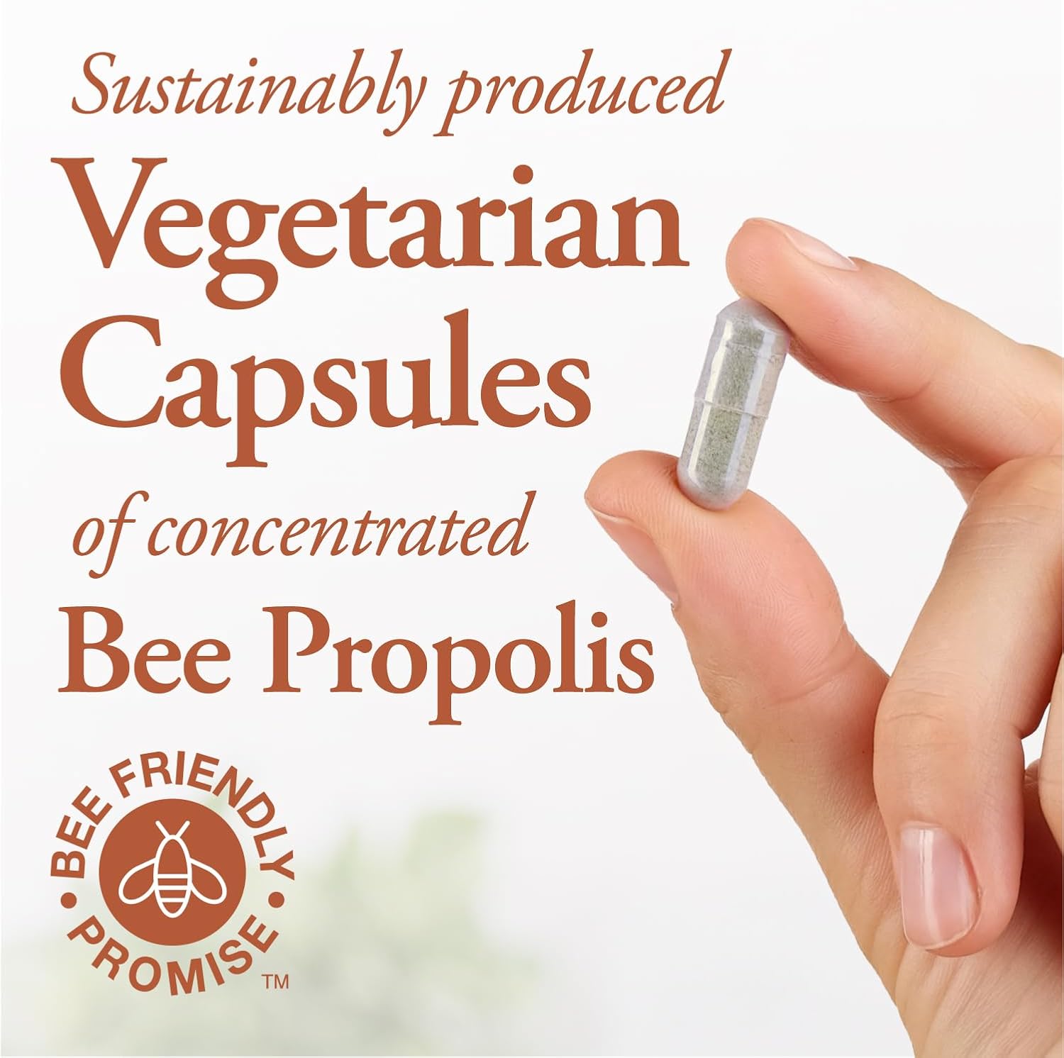 High Potency Dutchman's Gold Propolis Capsules - 90 Count, 500mg - Double Concentration Formula