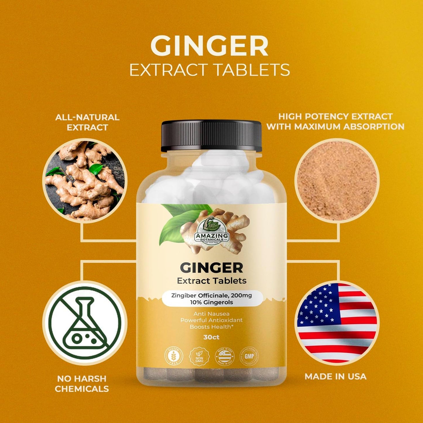 High Potency Ginger Root Extract Tablets - 200 mg, 10% Gingerols, 30 Tablets, Natural Anti-Inflammatory Supplement