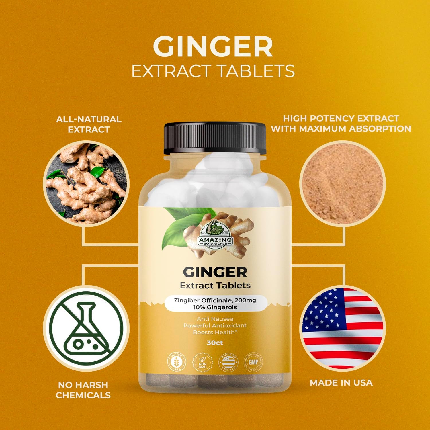 High Potency Ginger Root Extract Tablets - 200 mg, 10% Gingerols, 30 Tablets, Natural Anti-Inflammatory Supplement