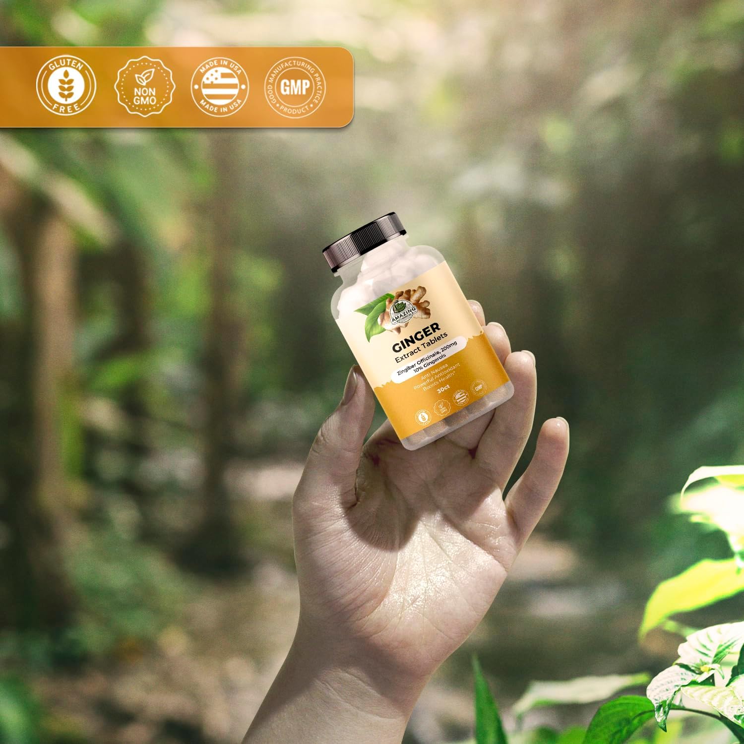 High Potency Ginger Root Extract Tablets - 200 mg, 10% Gingerols, 30 Tablets, Natural Anti-Inflammatory Supplement