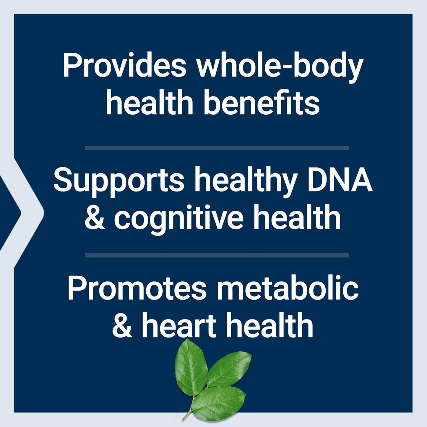 High Potency Life Extension Mix™ Tablets with Extra Niacin - Advanced Whole-Body Health Formula with Vitamins, Minerals, Fruits & Vegetables - Gluten-Free - 240 Tablets