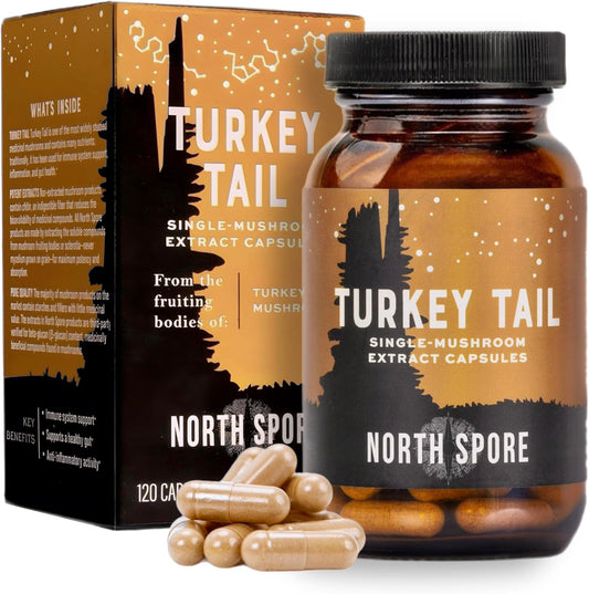 High Potency Organic Turkey Tail Mushroom Extract Capsules for Stamina & Endurance | 60 Day Supply | 100% Fruiting Body Extracts | Vegan & Non-GMO | 120ct
