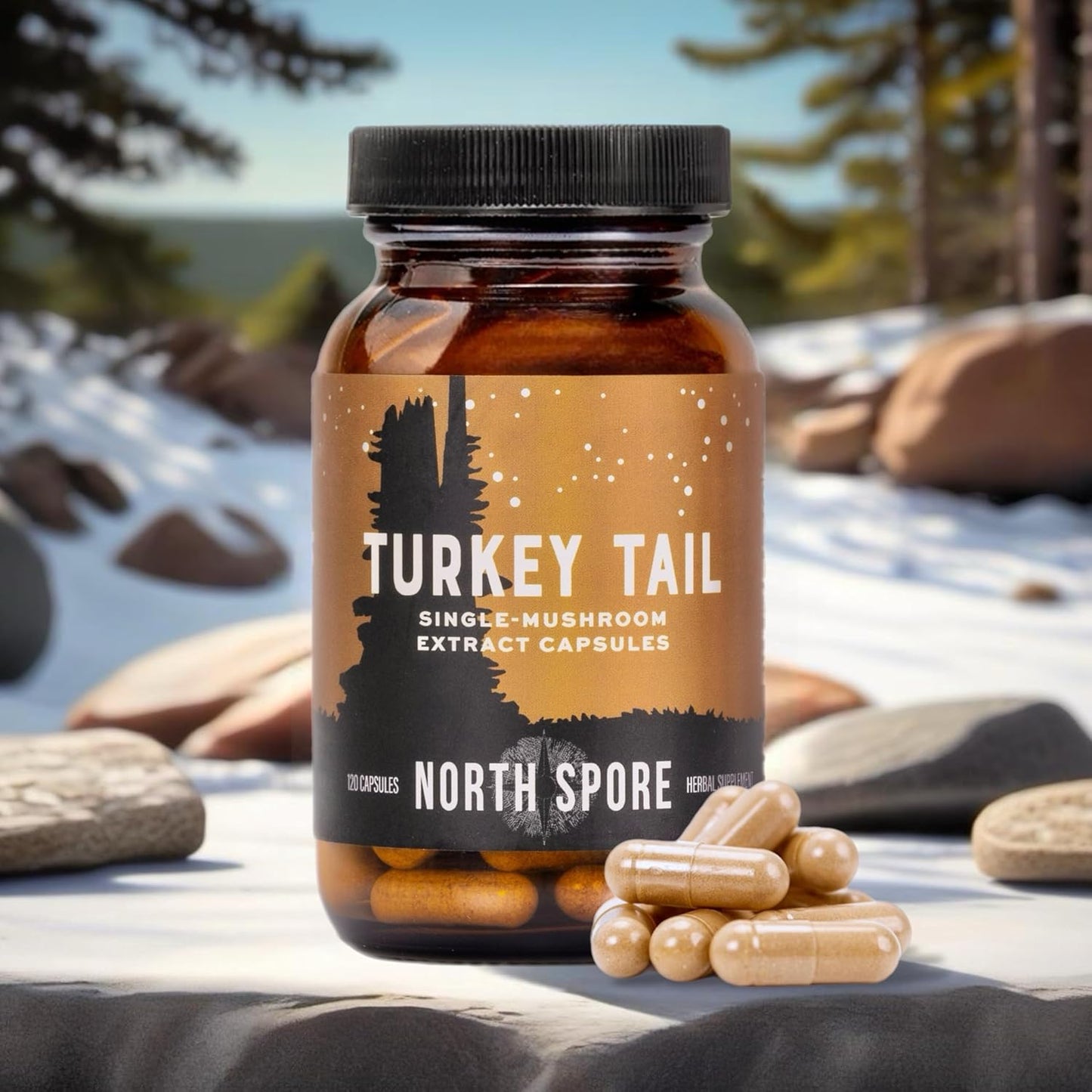 High Potency Organic Turkey Tail Mushroom Extract Capsules for Stamina & Endurance | 60 Day Supply | 100% Fruiting Body Extracts | Vegan & Non-GMO | 120ct