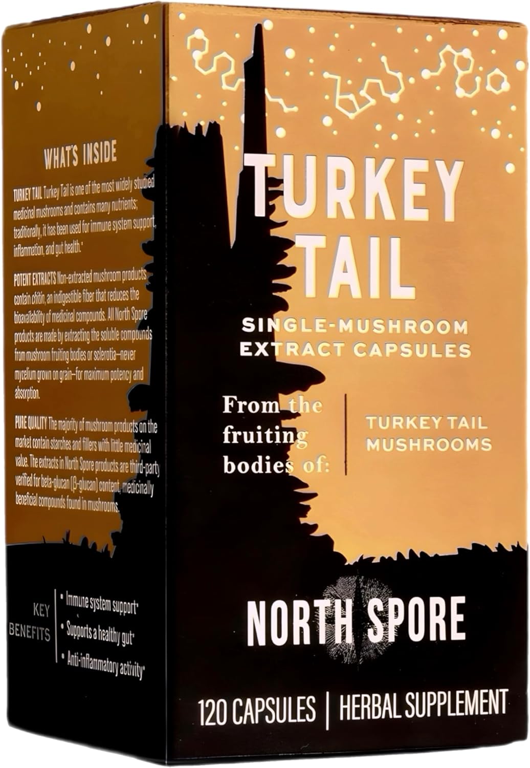 High Potency Organic Turkey Tail Mushroom Extract Capsules for Stamina & Endurance | 60 Day Supply | 100% Fruiting Body Extracts | Vegan & Non-GMO | 120ct