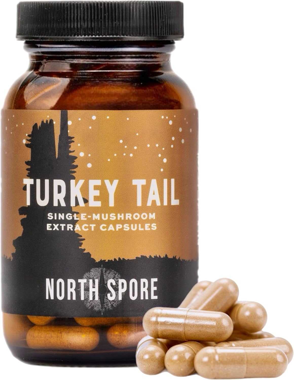 High Potency Organic Turkey Tail Mushroom Extract Capsules for Stamina & Endurance | 60 Day Supply | 100% Fruiting Body Extracts | Vegan & Non-GMO | 120ct