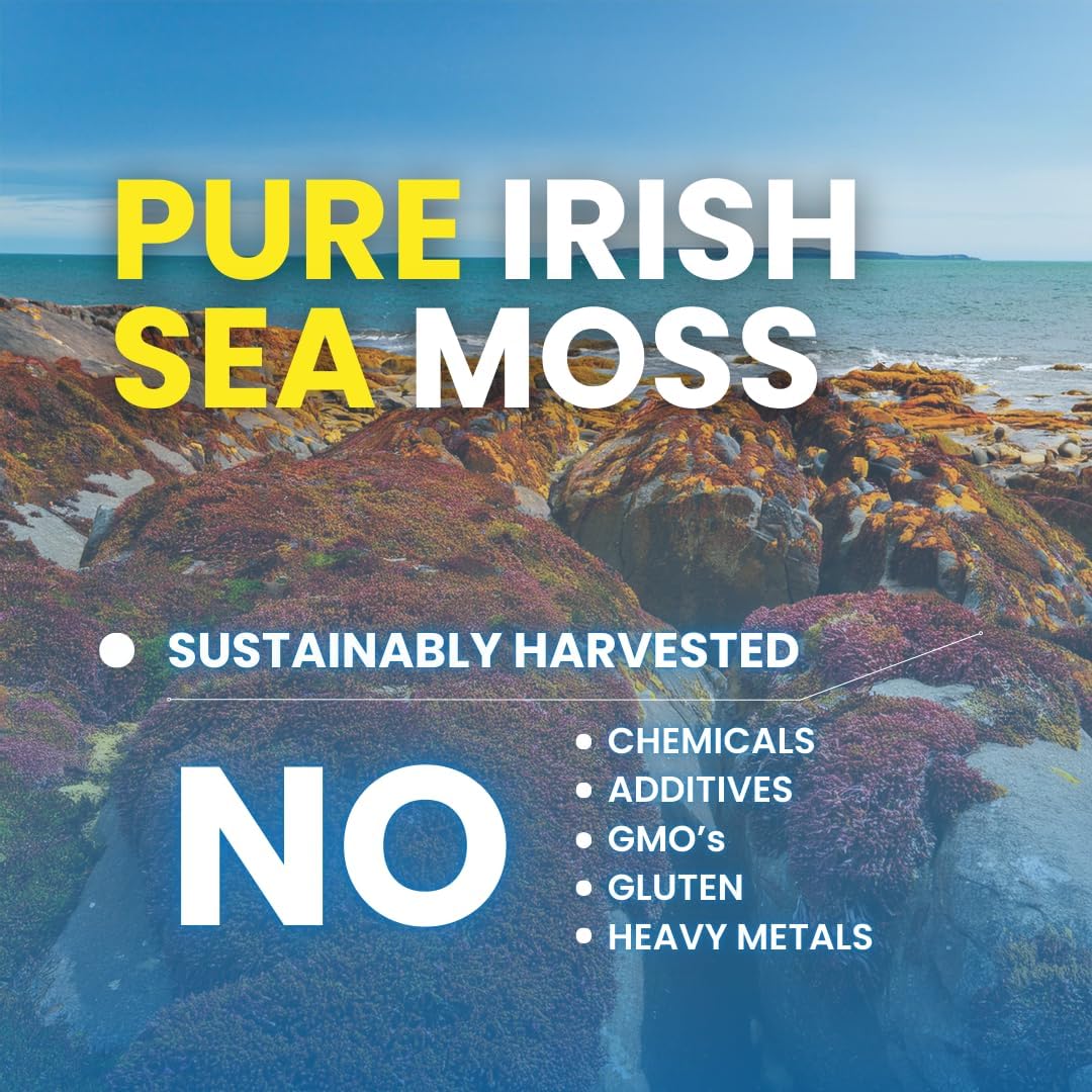 High-Potency Sea Moss Capsules with BioPerine, Bladderwrack, and Burdock Root - 90 Non-GMO Irish Seamoss Pills for Immunity, Gut Health, and Energy Boost