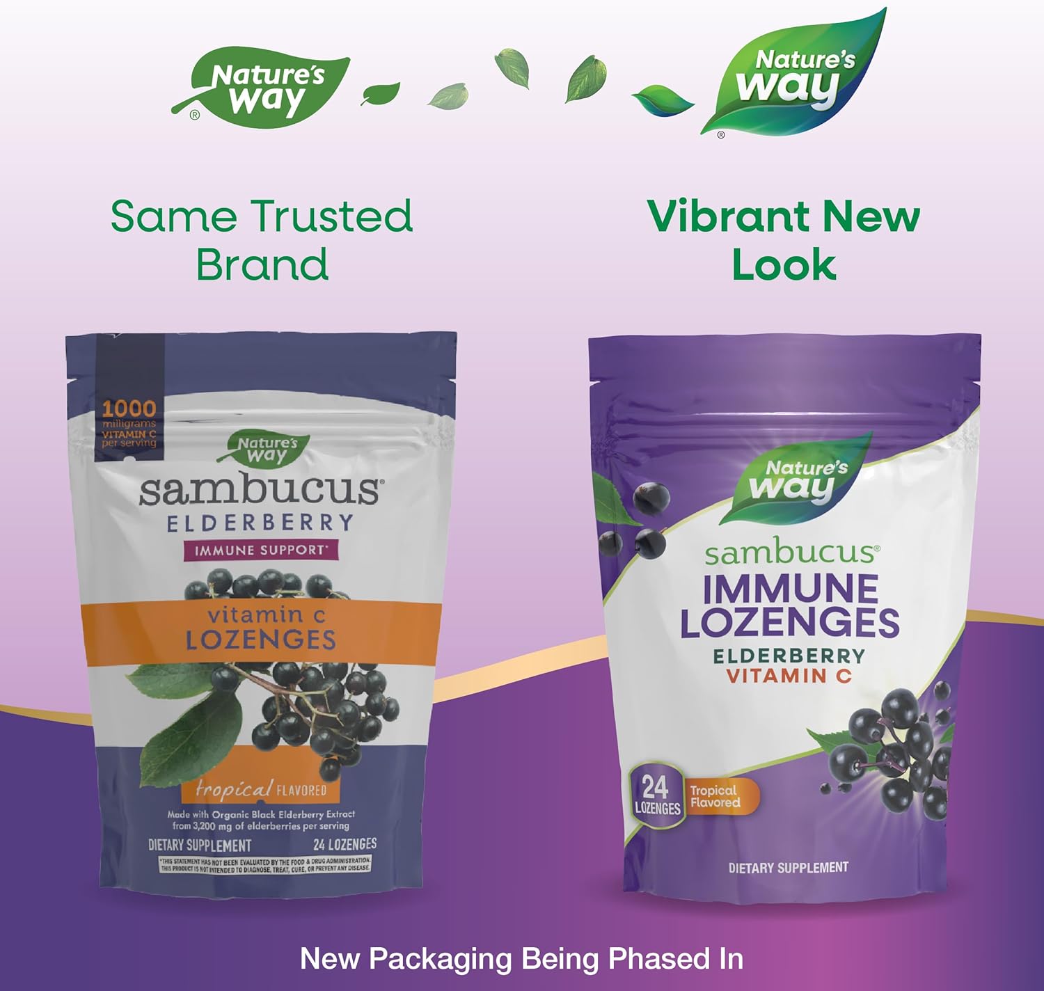 High Potency Vitamin C Elderberry Lozenges for Immune Support, 24 Tropical Flavored Pack